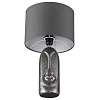 картинка LUMION 8146/1T MODERNI LN26 474 серый, керамика/текстиль Настольная лампа Е27 1*60W 220V AKIVI