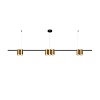 картинка Denkirs Подвесной светильник ORBIT DK4063-BK+SG
