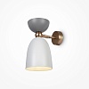 картинка Maytoni Настенный светильник (бра) Клош / Cloches E14х1