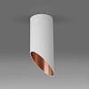 картинка Elektrostandard Накладной потолочный светильник DLN114 GU10
