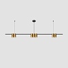 картинка Denkirs Подвесной светильник ORBIT DK4063-BK+SG