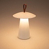 картинка Arlight Уличный настольный светильник  030051