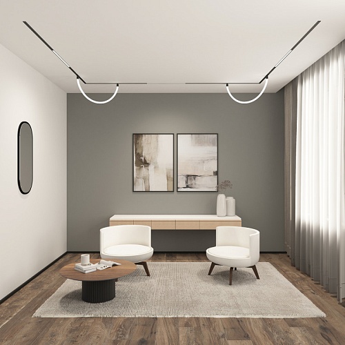 картинка Трековый светильник Denkirs DK8005-BK