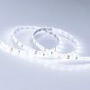 картинка Arlight Лента  016836
