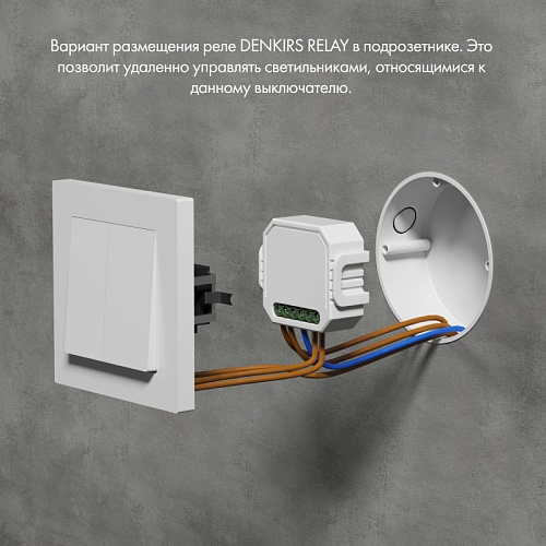 картинка Denkirs Двухканальное Wi-Fi реле-диммер  RL1004-DM/1
