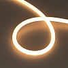 картинка Arlight Гибкий неон  043814