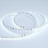 картинка Arlight Лента  015661(B)