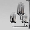 картинка Eurosvet Потолочный светильник 60156/6 хром