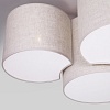 картинка TK Lighting Потолочный светильник 6591 Mona Nature