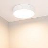 картинка Arlight Накладной светильник  022231(2)