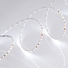 картинка Arlight Лента  024506(2)