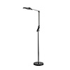 картинка LUMION 8332/15FL LEDIO LN26 458 темно-серый, металл/пластик Торшер LED 15W 3000/4000/6000K ССТ/димме