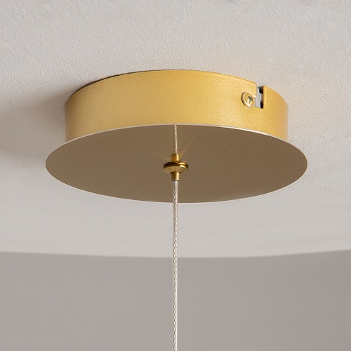 картинка Maytoni Подвесной светильник Предвидение / Foresight 3000К 8Вт