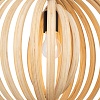 картинка Maytoni Подвесной светильник Корни / Roots E27х1