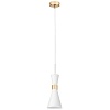картинка Lightstar Подвес Dumo  816016