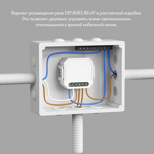 картинка Denkirs Двухканальное Wi-Fi реле-диммер  RL1004-DM/1
