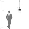 картинка Lightstar Подвес Cupola  804008