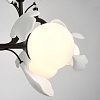 картинка Lightstar Люстра подвесная Ceramo BW  799087