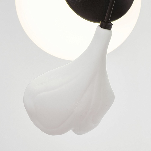 картинка Lightstar Люстра подвесная Ceramo BW  799127