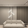 картинка Трековый светильник Denkirs DK8040-BW+BK