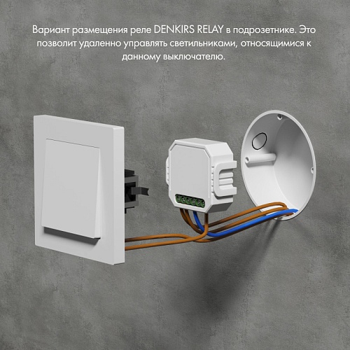 картинка Denkirs Одноканальное Wi-Fi реле-выключатель  RL1001-SM/1
