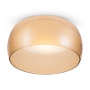 картинка Maytoni Потолочный светильник Солен / Solen 3000К 16Вт