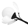 картинка Lightstar Люстра подвесная Ceramo BW  799087