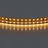 картинка Lightstar Лента  теплого белого свечения 24V   421503