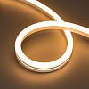 картинка Arlight Гибкий неон  042799