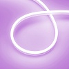 картинка Arlight Гибкий неон  036678