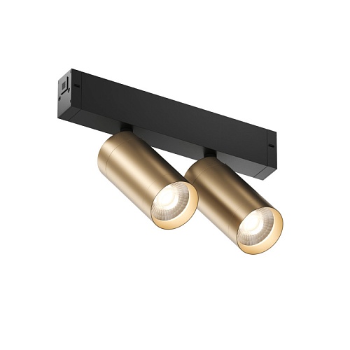 картинка Трековый светильник Denkirs DK8012-BG