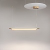картинка Maytoni Подвесной светильник Тень / Loom 2700К 20Вт