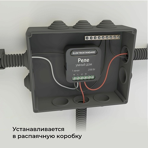 картинка Elektrostandard Умное одноканальное реле 76006/00