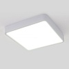 картинка Elektrostandard Накладной потолочный светодиодный светильник DLS034 18W 4200K