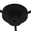 картинка Lightstar Люстра потолочная Fico II  740137
