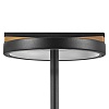 картинка Lightstar Настольная лампа Lodi  723927