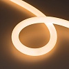 картинка Arlight Гибкий неон  038865