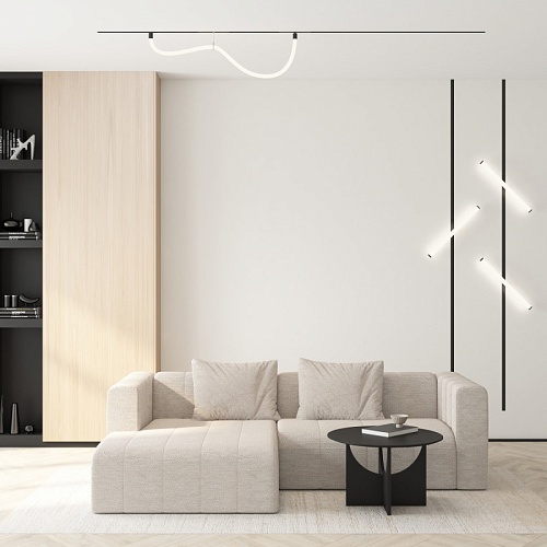картинка Трековый светильник Denkirs DK8060-BK