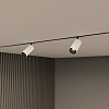 картинка Denkirs Трековый светильник  DK8041-BW+BK