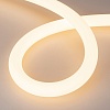 картинка Arlight Гибкий неон  039321
