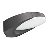 картинка Arlight Светильник настенный  029979