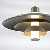 картинка Lightstar Люстра подвесная Erbareo  799019