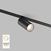 картинка Трековый светильник Denkirs DK8010-BK