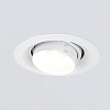 картинка Elektrostandard Встраиваемый точечный светильник 9919 LED