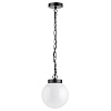 картинка Lightstar Светильник подвесной уличный Bolla  373110