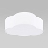 картинка TK Lighting Потолочный светильник 4228