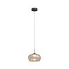 картинка Denkirs Подвесной светильник FLOA DK6742-BK+AM