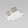 картинка TK Lighting Настенный светильник 10006 Cloud