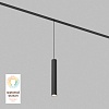 картинка Denkirs Трековый светильник  DK8008-BK