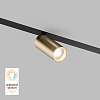 картинка Denkirs Трековый светильник  DK8010-BG